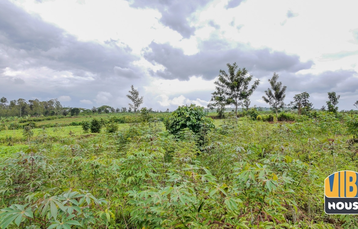16724 Sqm plot of land for sale in Rusororo, Kigali