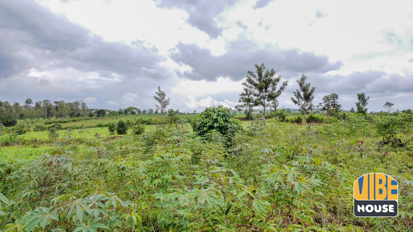 16724 Sqm plot of land for sale in Rusororo, Kigali