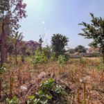 712 sqm plot in Kigali (Kagugu) for Sale